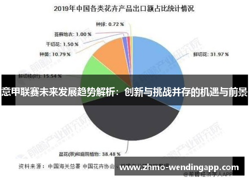 意甲联赛未来发展趋势解析：创新与挑战并存的机遇与前景