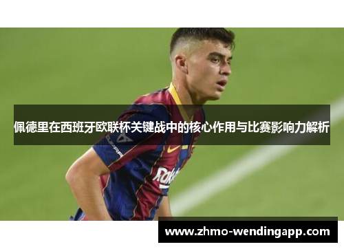 佩德里在西班牙欧联杯关键战中的核心作用与比赛影响力解析
