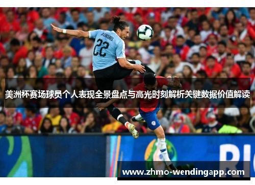 美洲杯赛场球员个人表现全景盘点与高光时刻解析关键数据价值解读